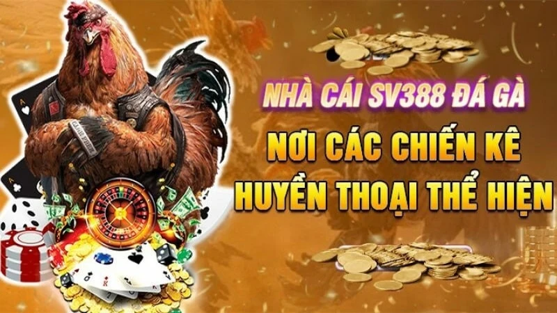 Cá Cược Đá Gà tại SV388